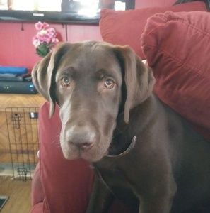 Meet your Posher, Deedee